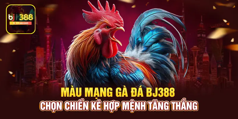 Chiến kê hợp mệnh bj388