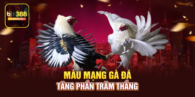 Cách tăng phần trăm thắng bằng việc xem màu mạng gà đá